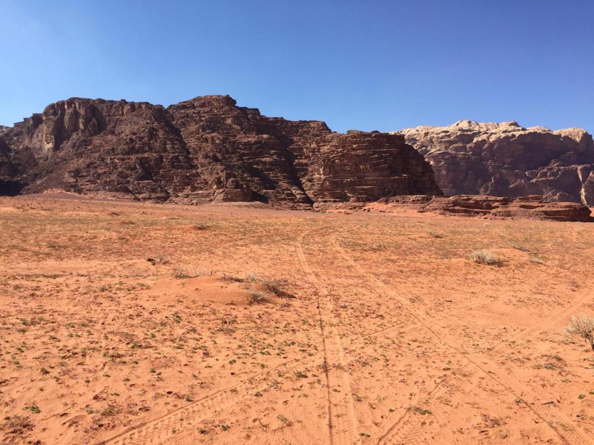 Wadi Rum Bedouin Experience酒店 外观 照片