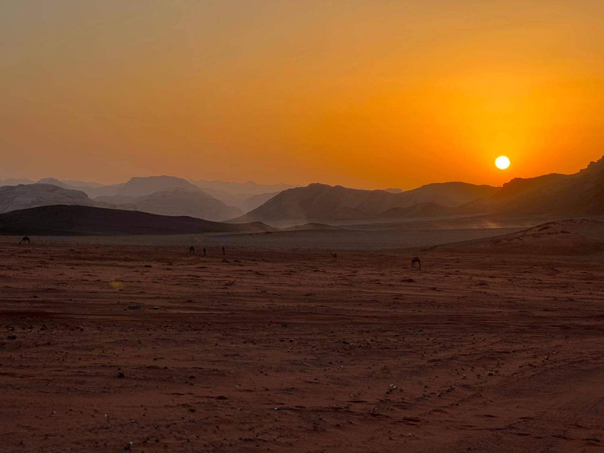 Wadi Rum Bedouin Experience酒店 外观 照片