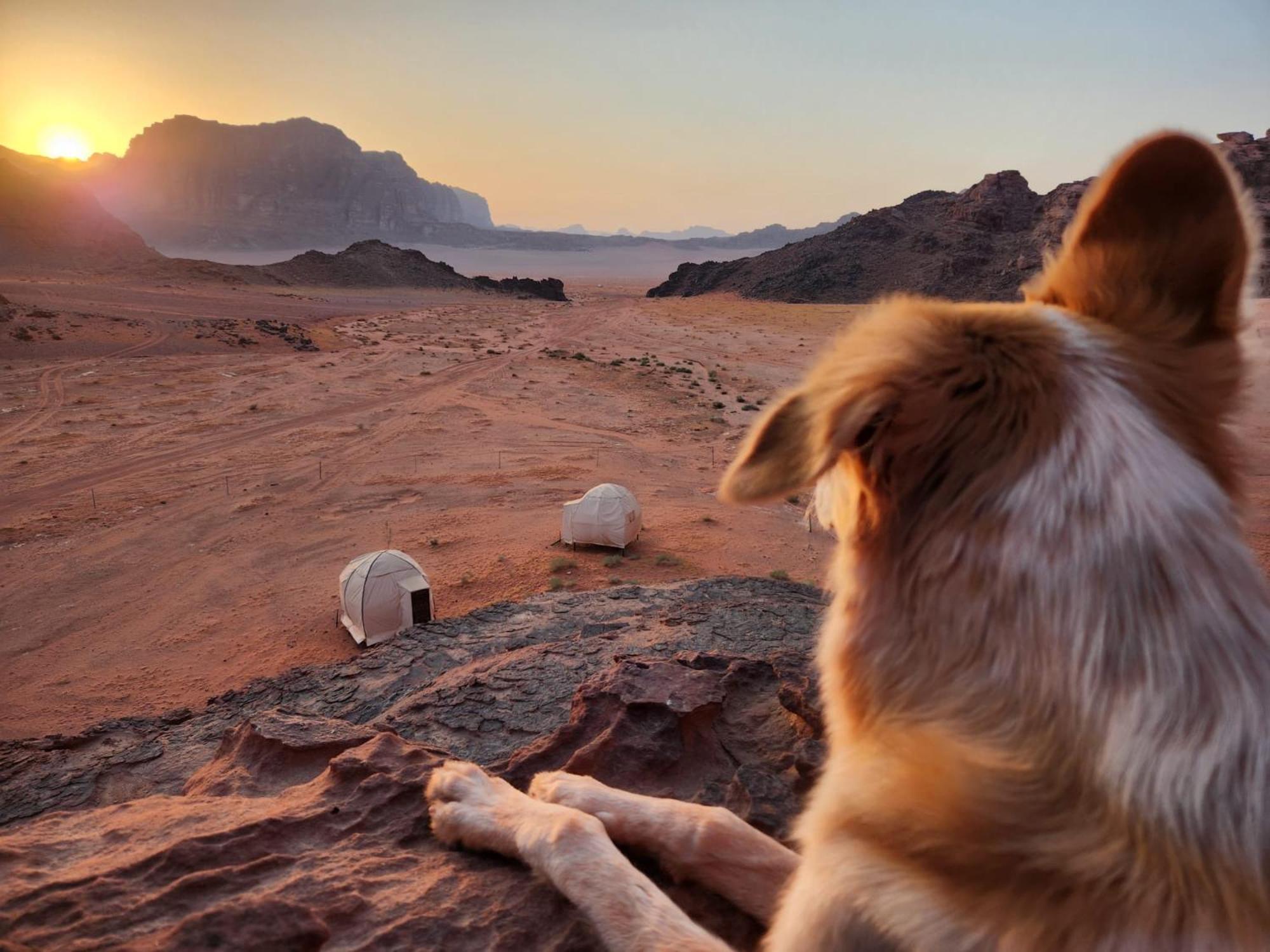 Wadi Rum Bedouin Experience酒店 外观 照片